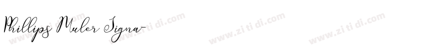 Phillips Muler Signa字体转换